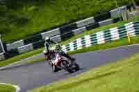 cadwell-no-limits-trackday;cadwell-park;cadwell-park-photographs;cadwell-trackday-photographs;enduro-digital-images;event-digital-images;eventdigitalimages;no-limits-trackdays;peter-wileman-photography;racing-digital-images;trackday-digital-images;trackday-photos